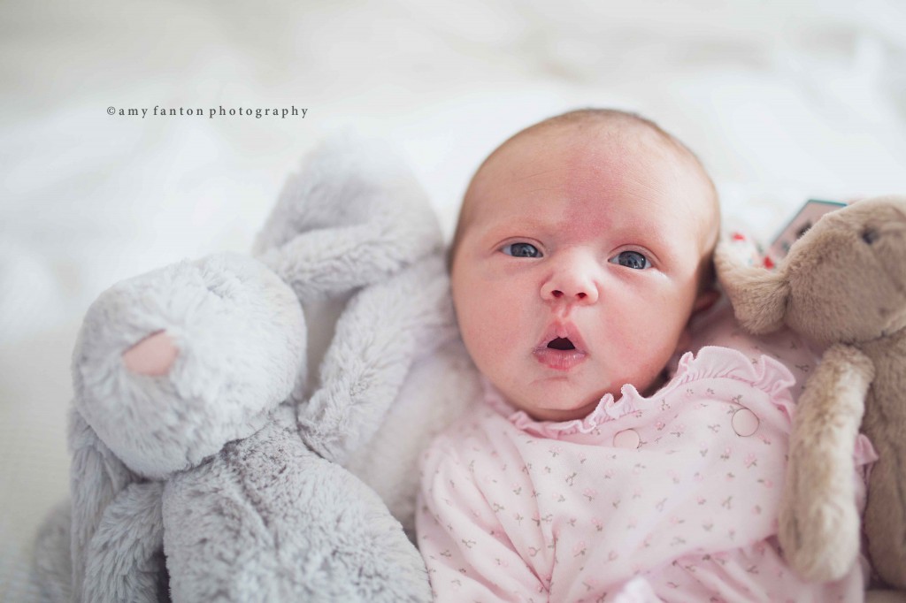 Newborn with Dolls Photograph