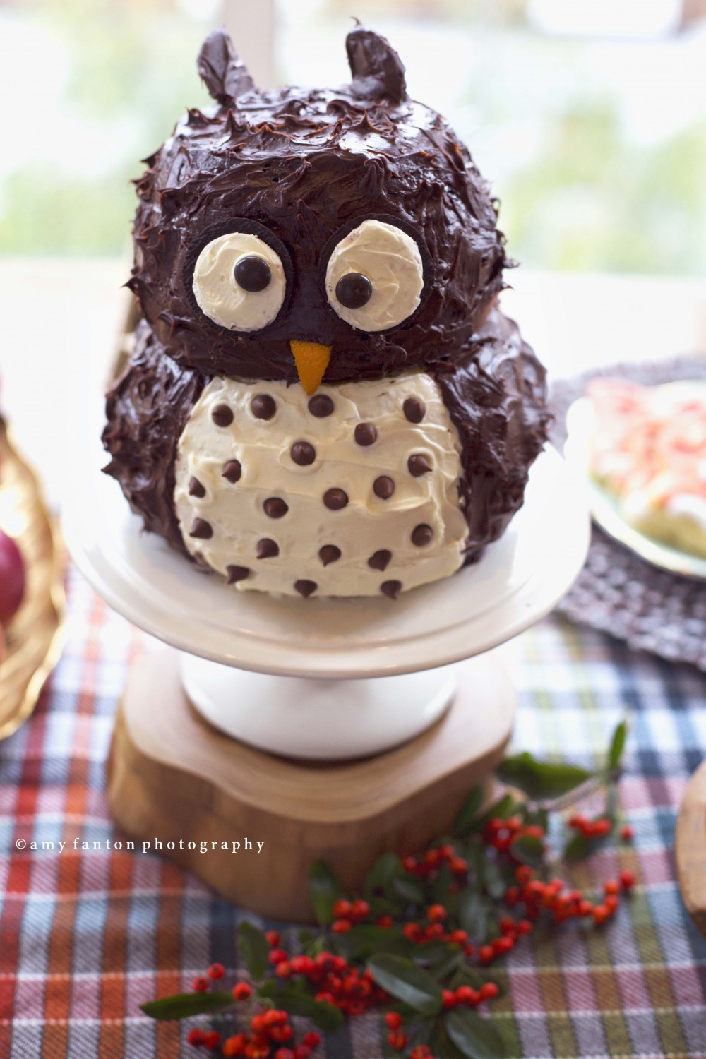 first birthday owl cake