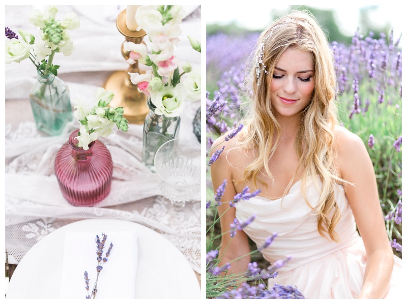Lavender Field Wedding